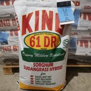 Σόργο King Sorgo Sudangrass Hybrid